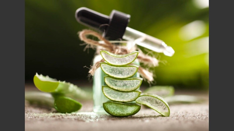 Toda una forma de vida