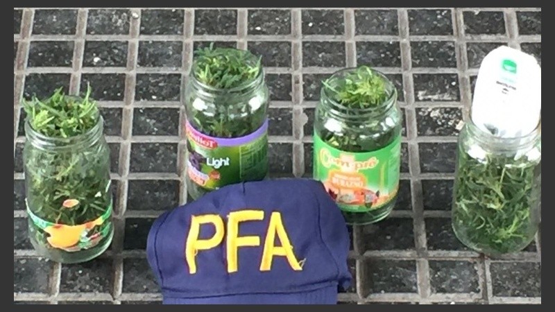 Los frascos con marihuana secuestrados por la Policía frente al Heca. 