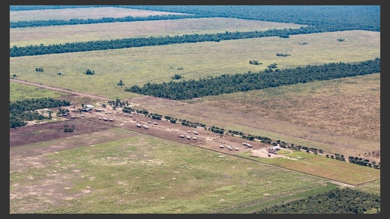 El avance descontrolado de la soja y la ganadería en desmedro del medio ambiente.