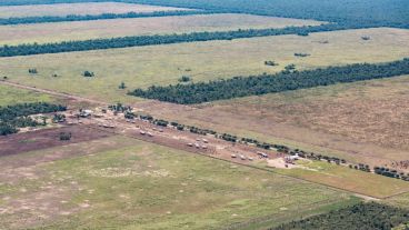 El avance descontrolado de la soja y la ganadería en desmedro del medio ambiente.
