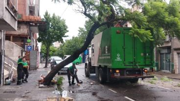 Personal municipal trabaja para revertir las consecuencias de la tormenta.