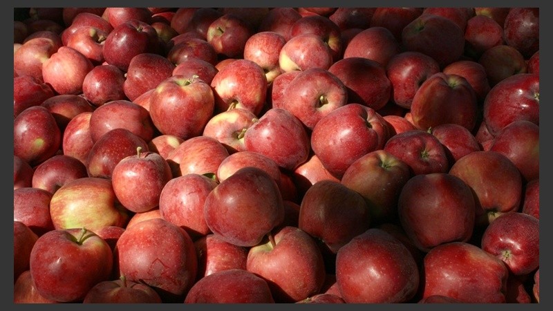 Las manzanas fueron los productos de mayor brecha en diciembre.