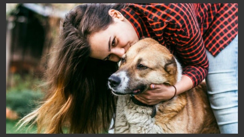 Original ordenanza: hogar para el perro y alivio para el bolsillo.