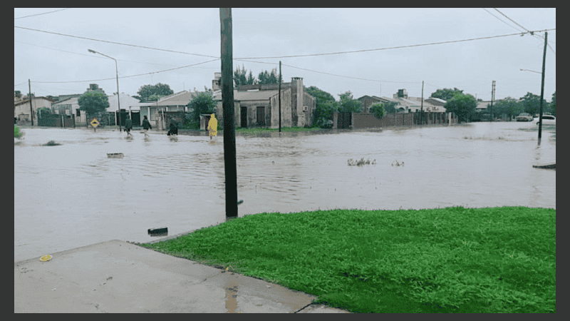 Tostado, completamente bajo agua.