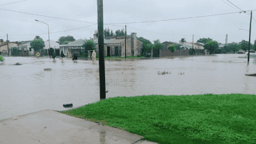 Tostado, completamente bajo agua.