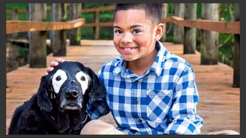 El perro y el niño se encontraron en Estados Unidos.