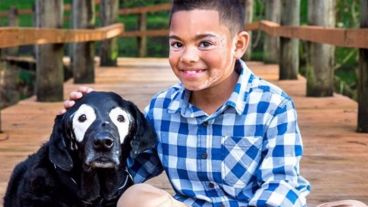 El perro y el niño se encontraron en Estados Unidos.