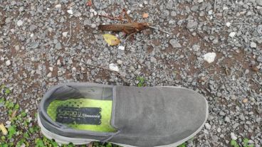 La zapatilla es número 43. ¿La langosta?