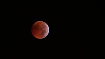 En las redes compitieron por la mejor foto de la "luna de sangre".