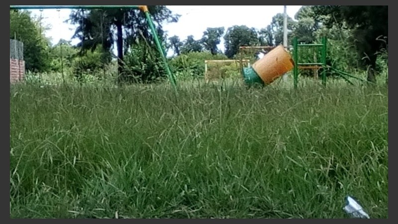 También dicen los vecinos que hay yuyos muy altos.