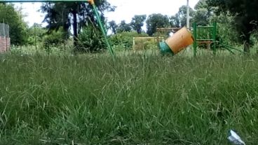 También dicen los vecinos que hay yuyos muy altos.