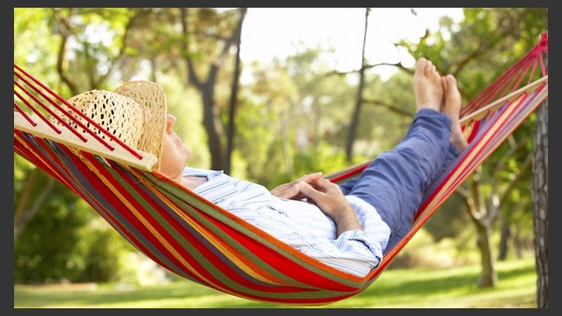 El experimento se repitió con ratones y los resultados fueron similares.