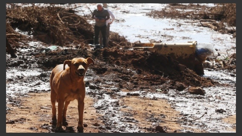 El alud se llevó todo a su paso por el pueblo.