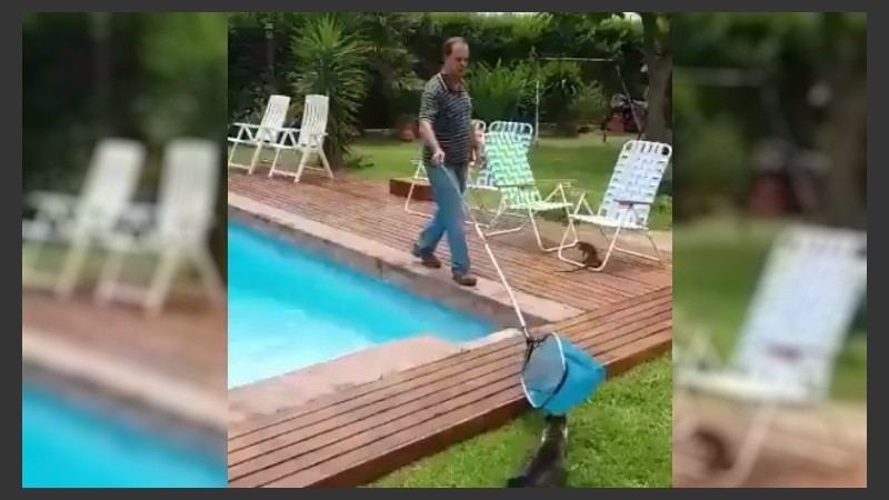 La escena más graciosa del video, previa al ataque de la iguana. 