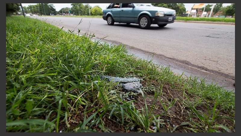 Restos de vidrios que quedaron en la escena donde se produjo el hecho.