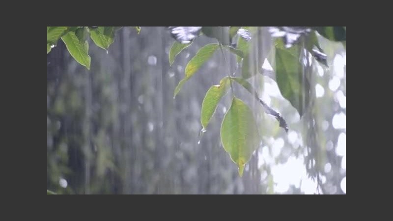 Un aguacero que puede ser en cualquier momento. 