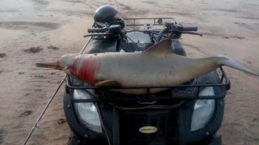 Rubén: "Lo comí y los restos los tiré al mar".