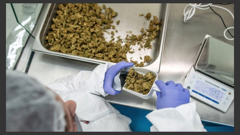 La conclusión llega tras una evaluación científica que culminó el año pasado.