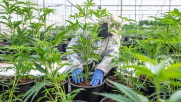 La conclusión llega tras una evaluación científica que culminó el año pasado.