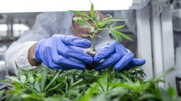 La conclusión llega tras una evaluación científica que culminó el año pasado.