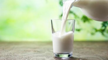 La ingesta de 2-4 raciones de lácteos entra dentro de un patrón saludable de alimentación.