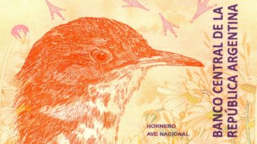 El billete naranja con la figura del hornero salió a la calle el 30 de noviembre de 2017.