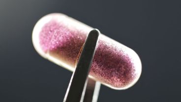 Las pruebas se realizaron en ratones y ahora deberán hacerse en otros animales.