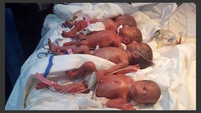 La madre y los pequeños se encuentran bien de salud.