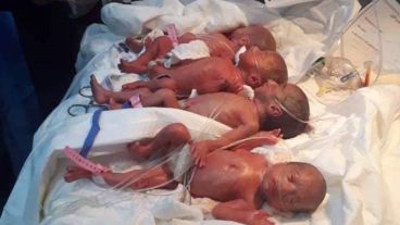 La madre y los pequeños se encuentran bien de salud.