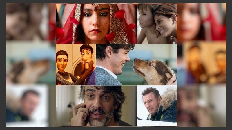 Mis huellas a casa, Venganza, El príncipe encantador, Happy Hour, Capharnaüm y La boda.