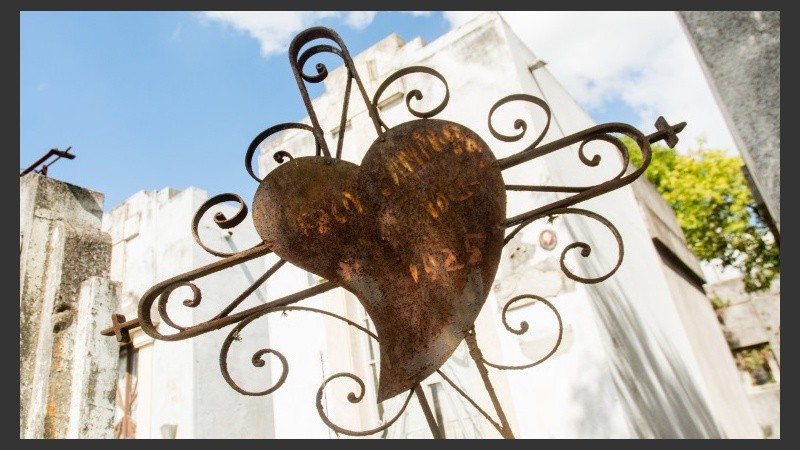 En caso de lluvia la actividad se suspende.