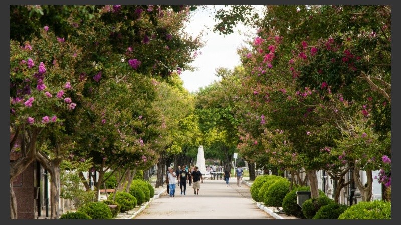La actividad es libre y gratuita.