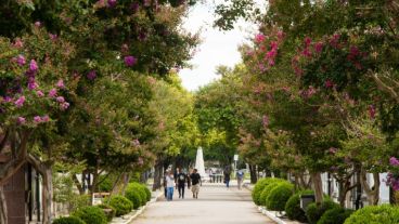 La actividad es libre y gratuita.