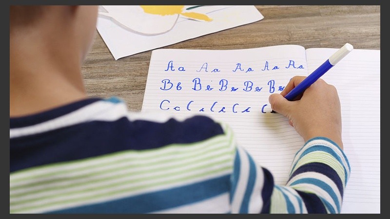 Las fichas son de descarga gratuita.