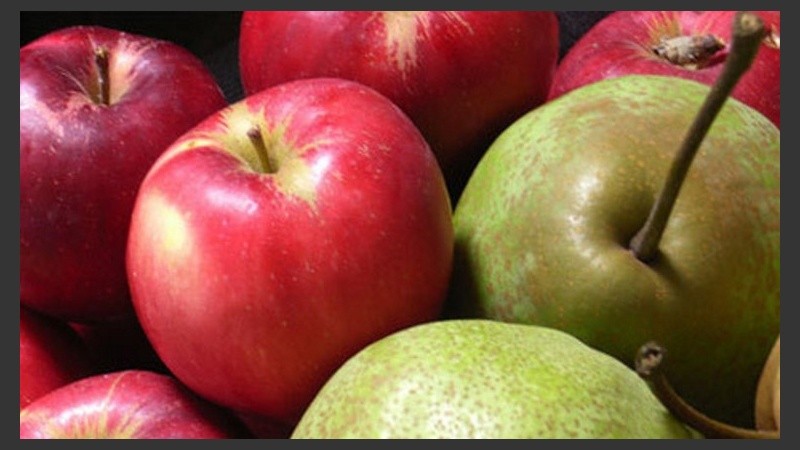 La fruta procedente del Alto Valle del Río Negro está afectada por la plaga Carpocapsa.