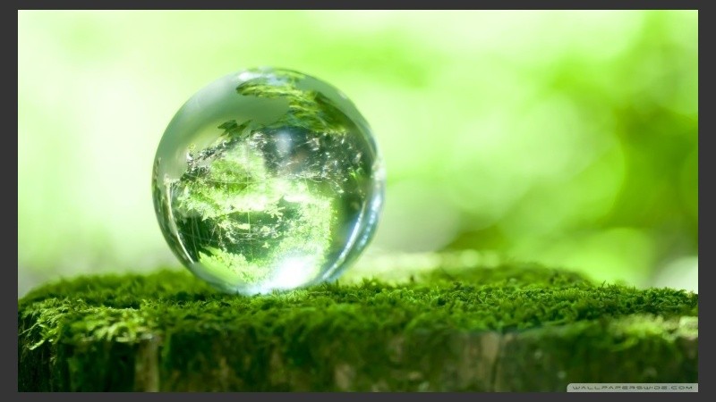 La carrera tiene un total de doce materias donde se cursan cuatro por cuatrimestre. 