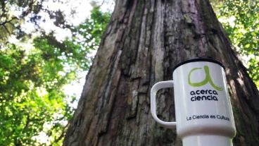 "La clave para motivar e interesar a los alumnos para aprender acerca de ciencia es que vean que vos estás apasionado por lo que hacés".