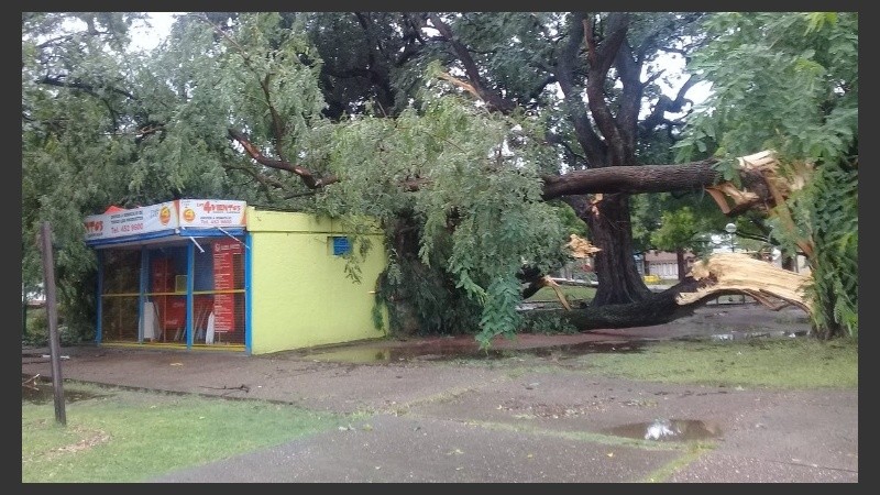 El fenómeno azotó con fuerza al centro provincial.