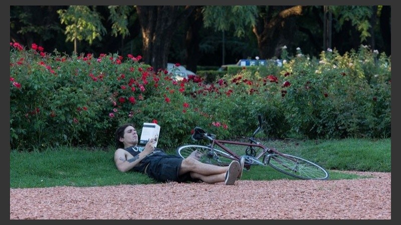 La tarde del domingo estará para parque.