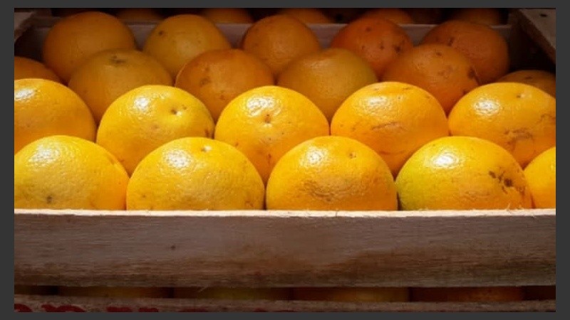 Las naranjas en el primer puesto de la brecha.