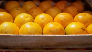 Las naranjas en el primer puesto de la brecha.