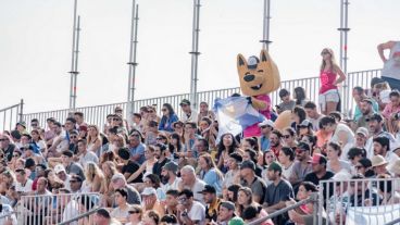 Handball, natación y esquí náutico entre las disciplinas destacadas del día.
