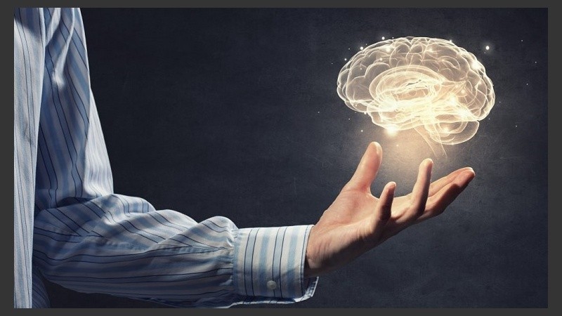 El coeficiente intelectual es una cifra que cuantifica la inteligencia.