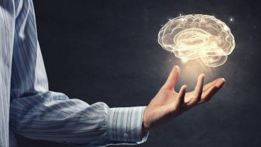 El coeficiente intelectual es una cifra que cuantifica la inteligencia.