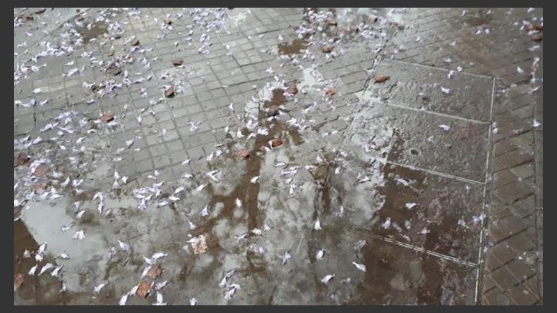 El calor se mantiene unos días en la región.