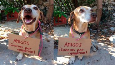 La publicación se viralizó y recibieron la ayuda para pagar el tratamiento.