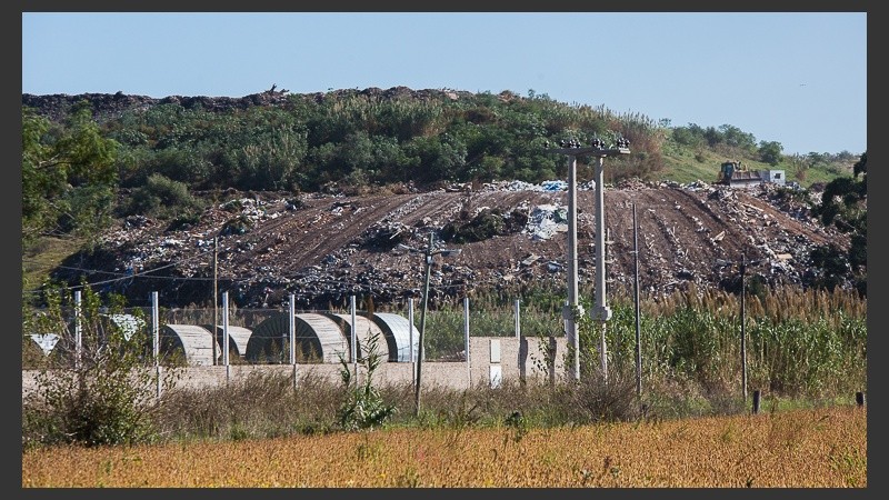 El hallazgo se realizó en Uriburu y Las Palmeras.