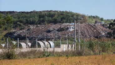 El hallazgo se realizó en Uriburu y Las Palmeras.