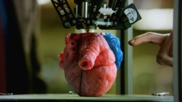 Es la primera vez que se hace un corazón con una impresora 3D con tejido humano.
