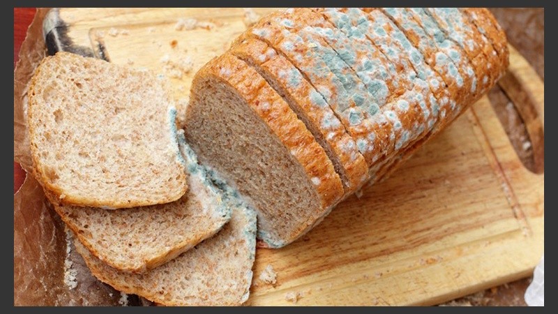 Si no se actúa a tiempo con el producto con moho, infectará al resto de la comida que tenga cerca.